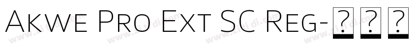 Akwe Pro Ext SC Reg字体转换
